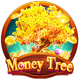 Money-tree