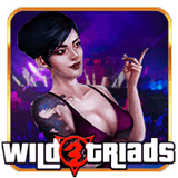 Wild-triads