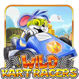Wild-kart-racers