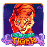 Wild-wild-tiger