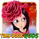 Tiny-door-gods